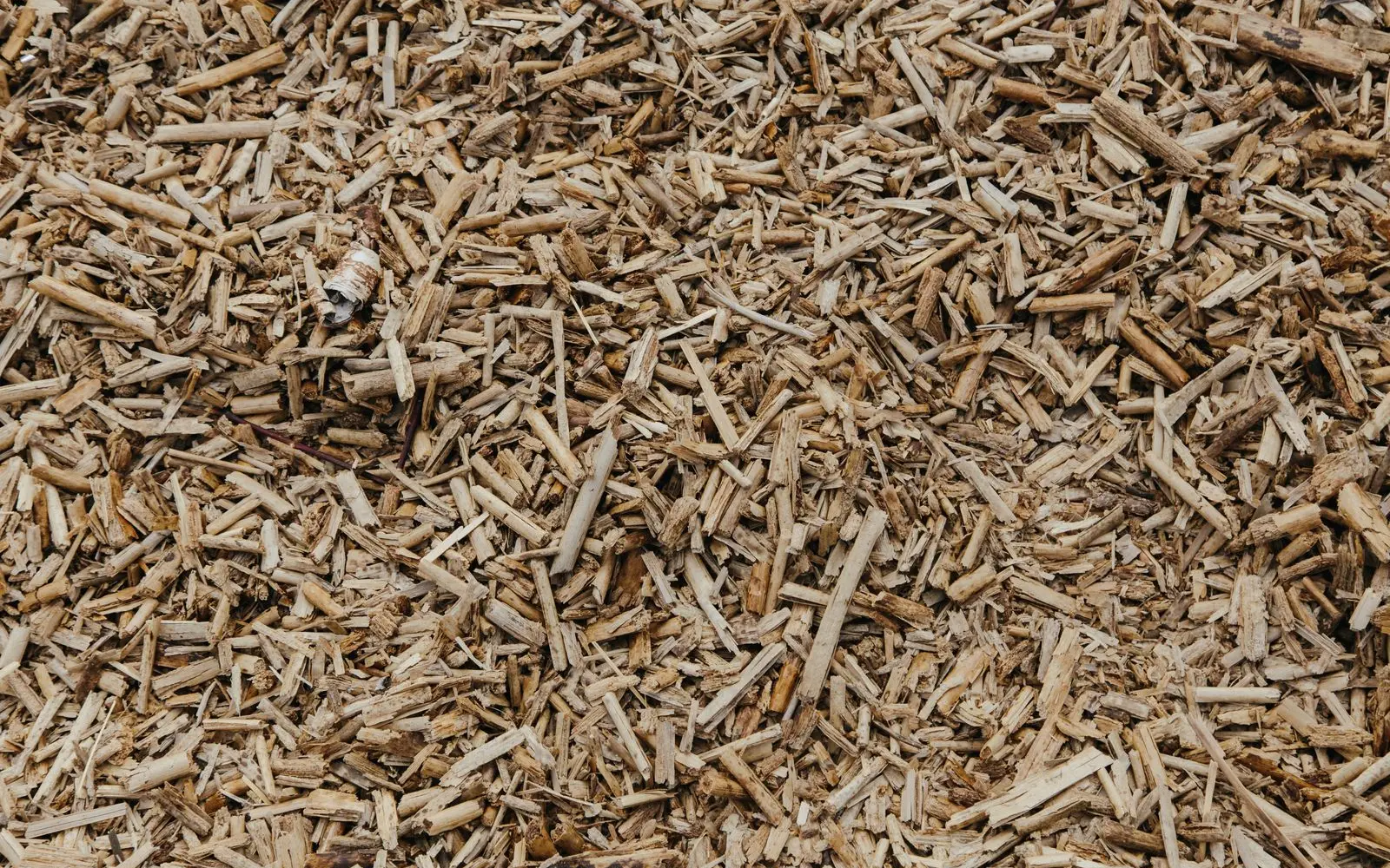 Trockene Holzhackschnitzel als Brennstoff für eine Biomasseheizung