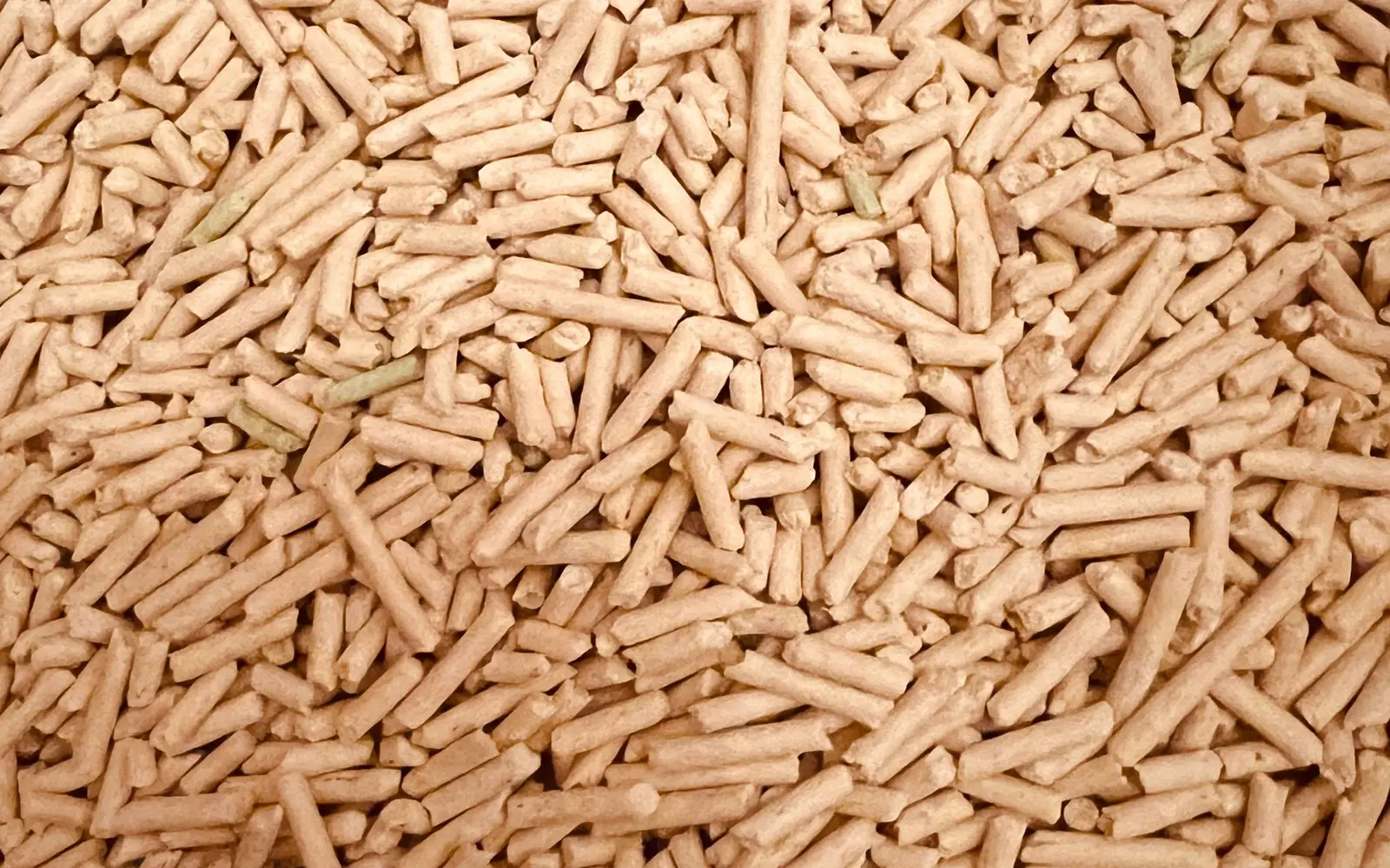 Schweiz 2025: Biomasse und Umweltwärme prägen die erneuerbare Wärme – Erneuerbare Wärme in der Schweiz: Biomasse und Holzpellets Nahaufnahme von Holzpellets als Brennstoff für erneuerbare Wärme aus Biomasse