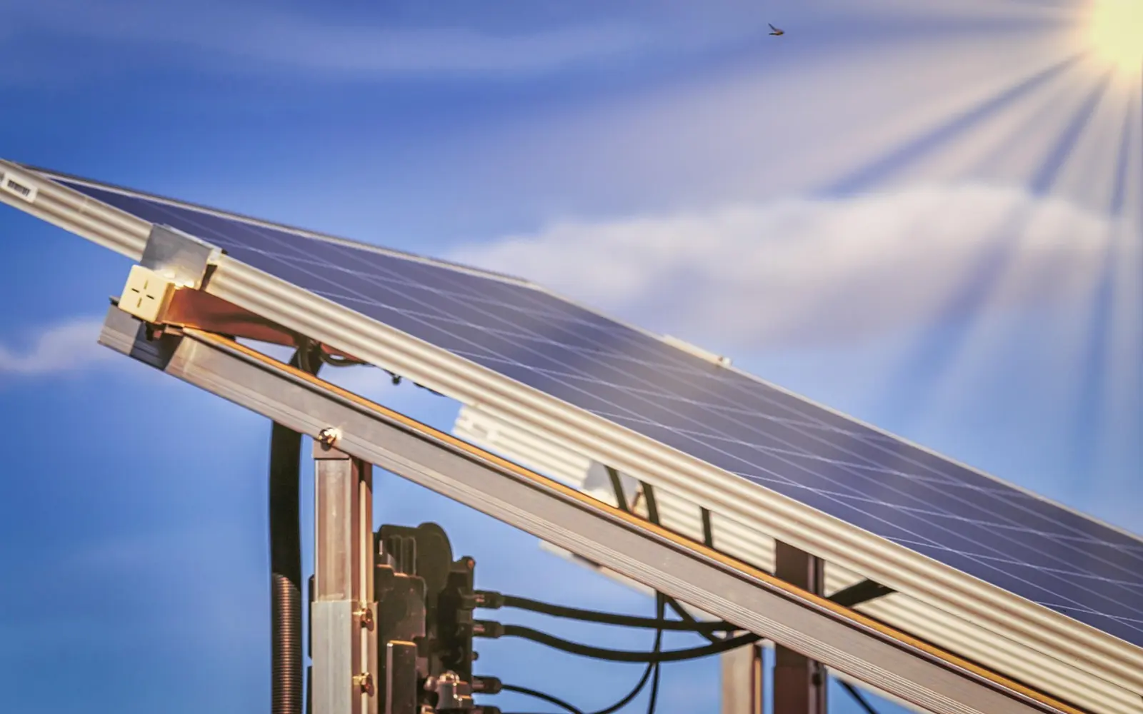 Steckersolar 2026: 2.000 Watt Module, 800 Watt Wechselrichter – Steckersolar 2026: Solarmodul mit Anschlusskabeln Kompaktes Photovoltaikmodul mit Anschlussdose und Solarkabeln für eine kleine Stromerzeugungsanlage